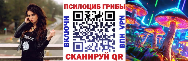 Псилоцибиновые грибы мицелий  Петровск 